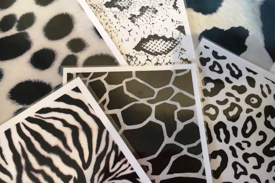 images montessori contrastée noir et blanc animaux